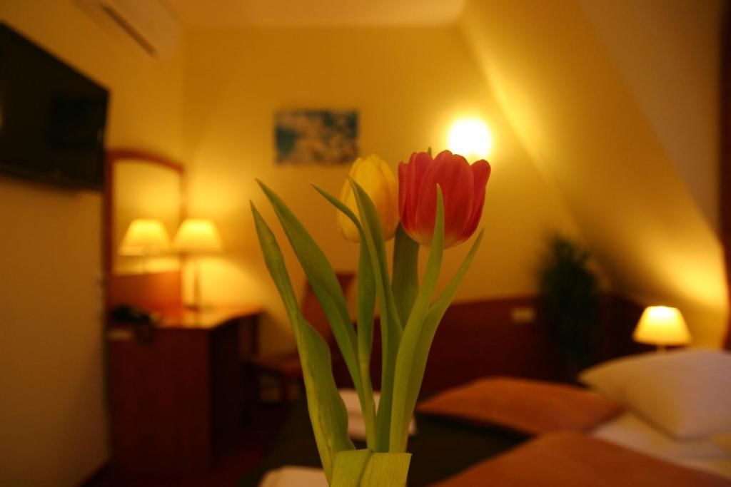 Отель Hotel Karolinka Gogolin-65